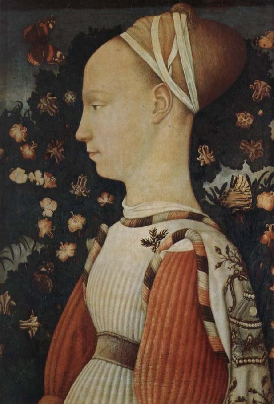 Antonio Pisanello A portrait of a young princess Germany oil painting art